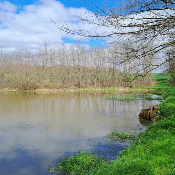 Nature et environnement
