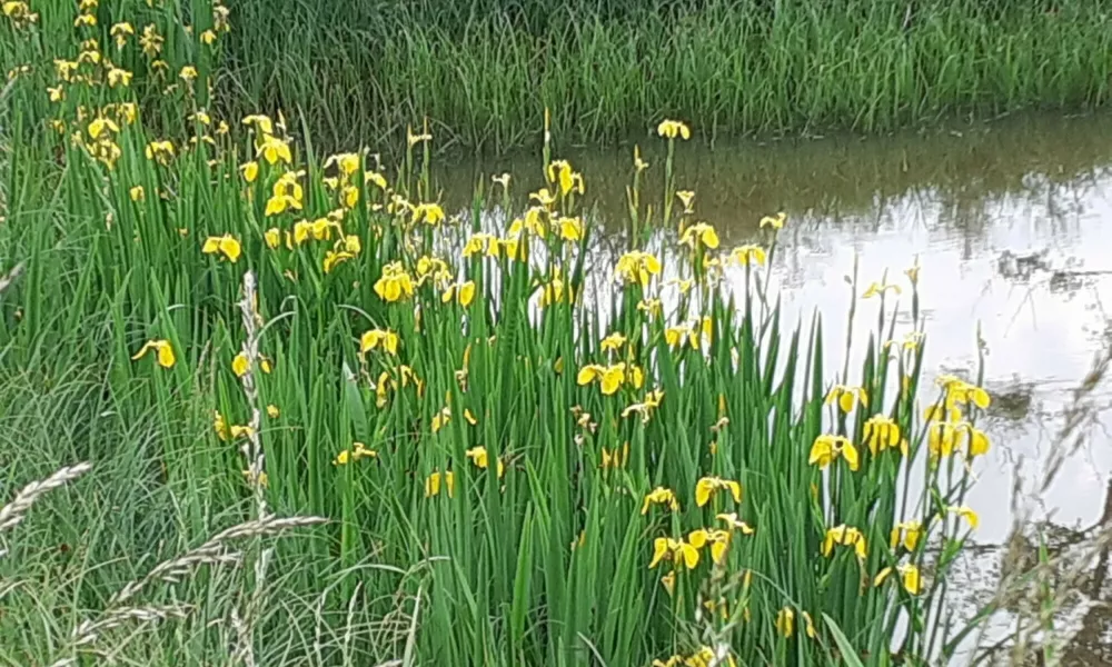 Patrimoine naturel