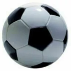 Repas du foot le 22 février