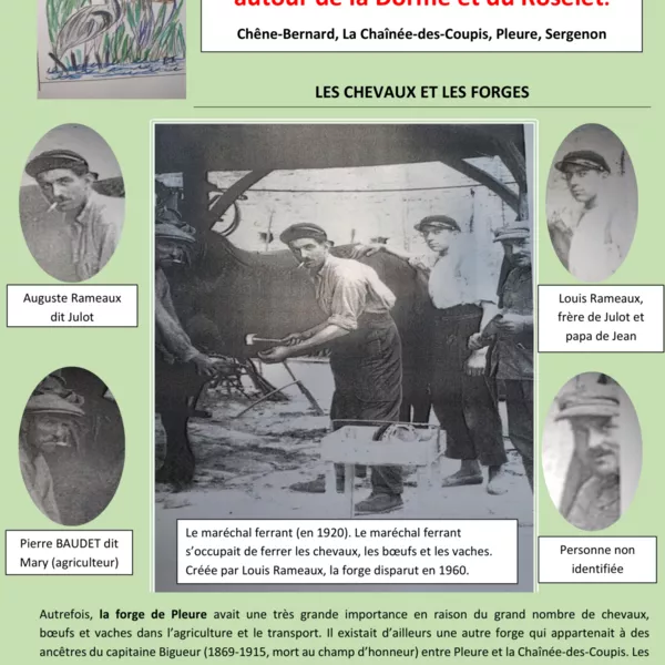 Bulletin N° 1 LES CHEVAUX ET LES FORGES