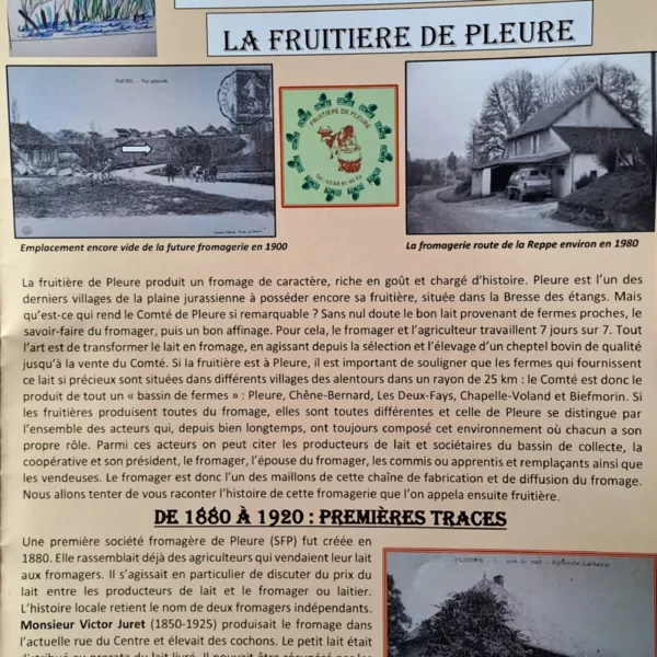 Bulletin numéro 8 La fruitière de pleure ·    