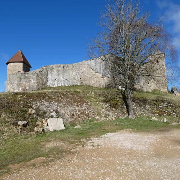 Château de Chevreaux
