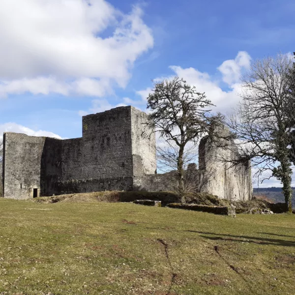 Château de Présilly 