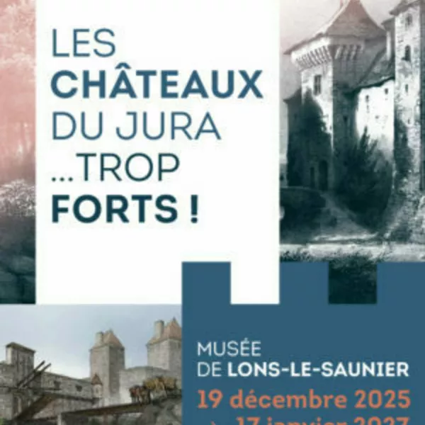 EXPO CHATEAU TROP FORT !